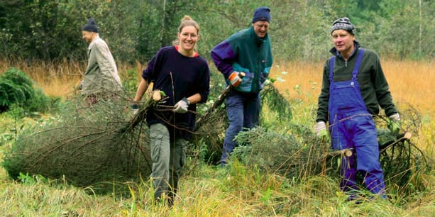 Arbeitseinsatz, Foto: LBV-Archiv