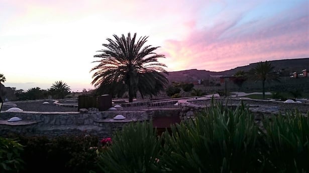 freaky finance, freaky travel, Gran Canaria, Reisebericht, Palme, Sonnenuntergang