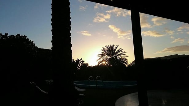 freaky finance, freaky travel, Gran Canaria, Sonnenuntergang, Palme, Pool