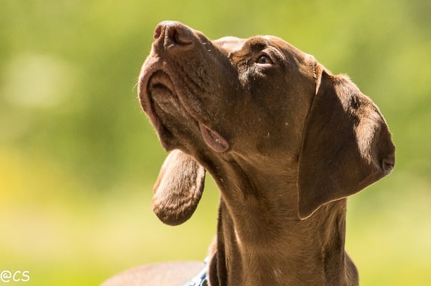 Alle Fotos: Claudia Schulte und Judith Keller