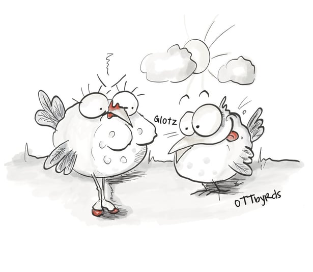 auf augenhöhe, beziehungen, onlinedating, ottbyrds, onlineprofile, schäge vögel