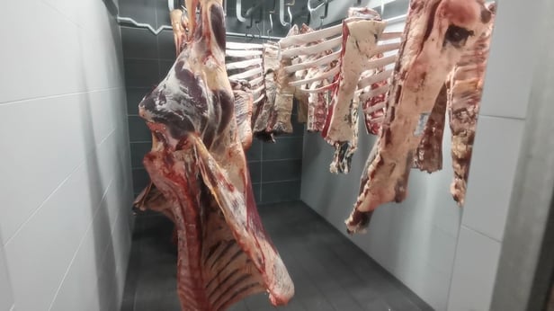 Bild anklicken und auf Youtube anschauen!