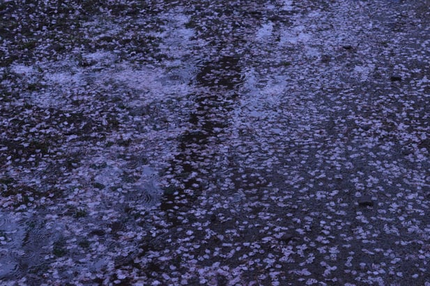 福岡平尾美容室