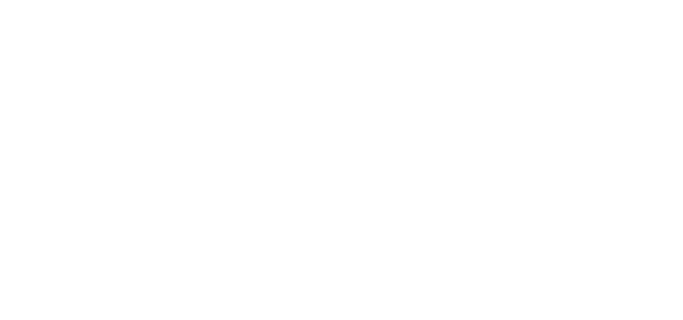 NAVIST