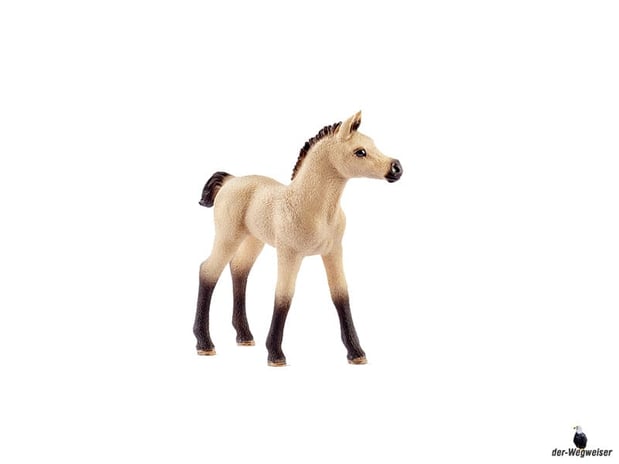 Die Besonderheit im Schleich Paket 42369 ist ein sehr schönes Fohlen.