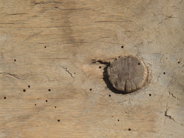 fragment drewnianego stołka fot. Anna Gieracka