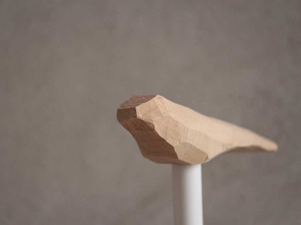 ptaszek fot. Anna Gieracka