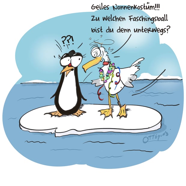 nonnenkostüm, faschin, möwe, pinguin, eisscholle, ottbyrds, besoffen, beschwipst, anmache