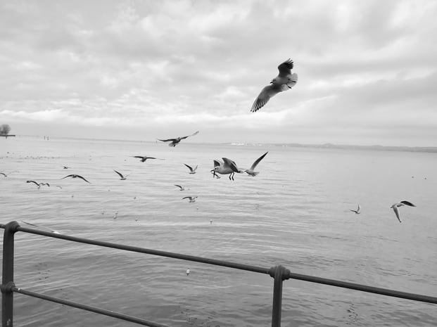 Es braucht bessere Worte für sehr schlechte Zeiten. Es braucht Begriffe, die den Rissen im Weltgefüge nachjagen, sie fassbar machen, damit Übergänge entstehen, Durchlässigkeit statt Verkrustung...