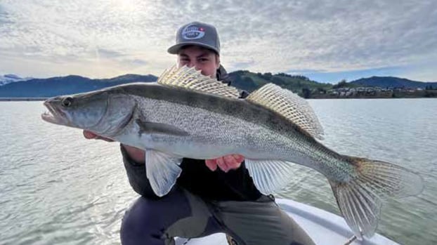 Impression Zanderfang mit Stucki Fanatics Real Rider Fish Tail Shad