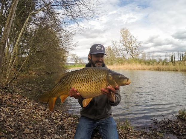 Impression Karpfenfischen mit Boilies - Kapitaler Schuppenkarpfen gefangen mit Boilies