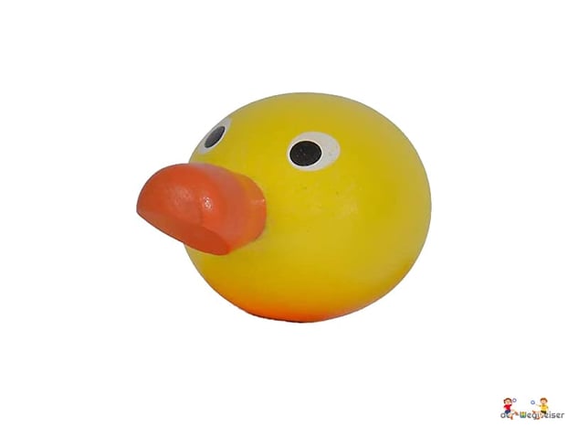 Die Besonderheiten im Eichhorn Paket ist der beweglichen Kopf mit Wackelfunktionen.