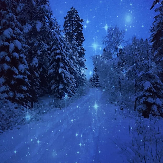  "Catch a falling star and put it in your pocket, never let it fade away…" (Perry Como)