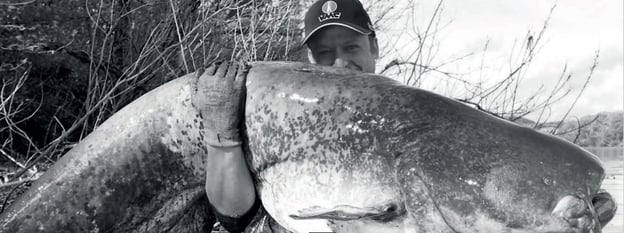 Im Drill Point Fishing Onlineshop Jetzt eine Rute zum Welsfischen günstig online kaufen!