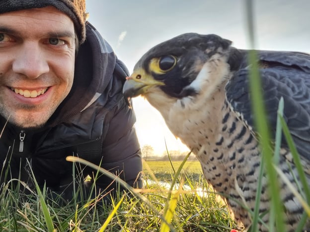 Ferdinand Baer mit Wanderfalke bei der Auswilderung (Foto: Ferdinand Baer)