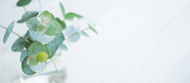 医療ウィッグ・アピアランス・アピアランスビューティ・個室・ウィッグ 美容室