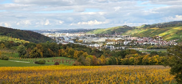 Blick von den Weinbergen Richtung Esslingen beim Mammutmarsch Stuttgart – Natur und Stadt im Panorama