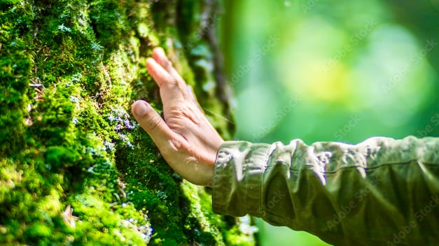 "Erde dich: Die Natur als Quelle deiner inneren Kraft." - Nahaufnahme von einer Hand, die sanft über moosbewachsener Baum streicht , mit unscharfem Waldhintergrund.