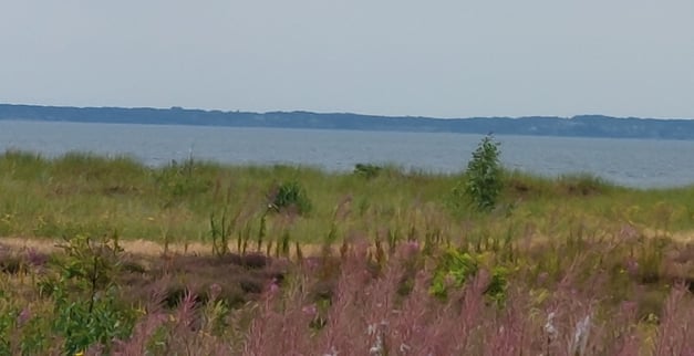 Meine Aussicht beim Mittagessen