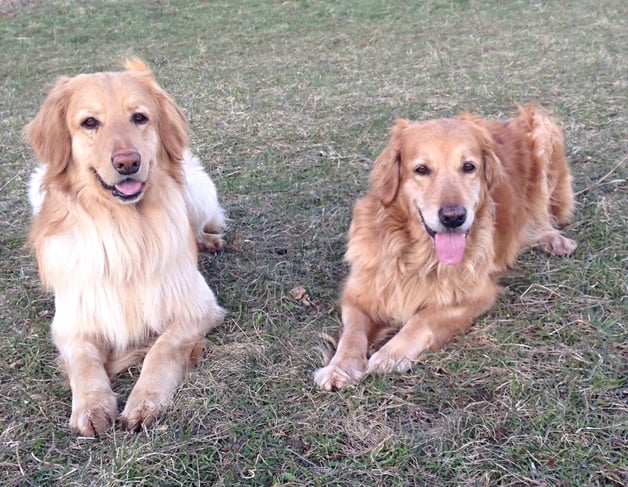 Thaler (rechts) trifft ihren Sohn aus Moskau wieder