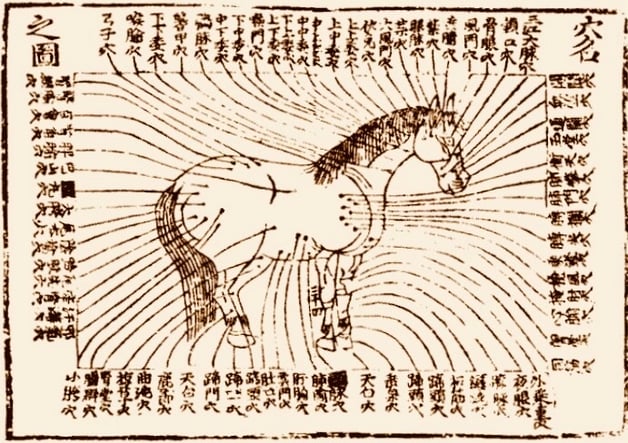 © Ma Niu | Fang, Jahr 1399