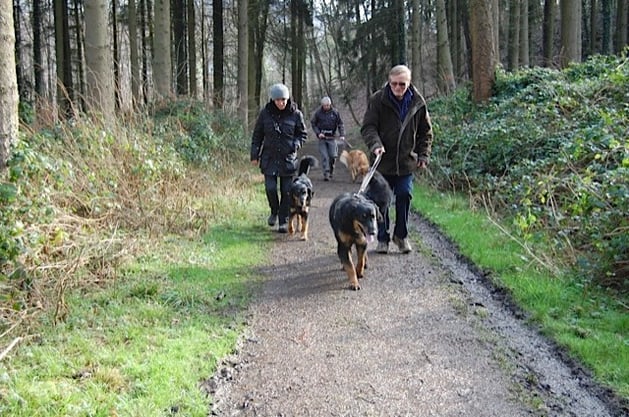 Unsere Guides (Bastian und Herrchen) vorweg, zielsicher Richtung Basaltsteinbruch