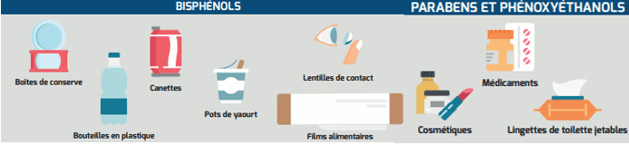 Famille des dérivés phénoliques (source : institut national du cancer)