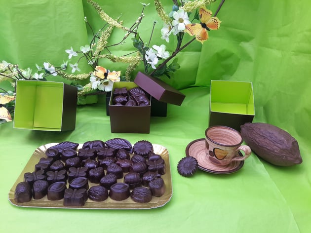 Chocolats bio sans vanille