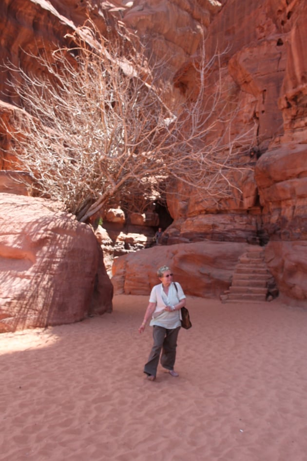 Renate und der Feigenbaum.