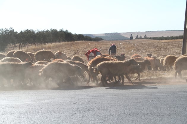 Begegnungen an der Landstr. ff.