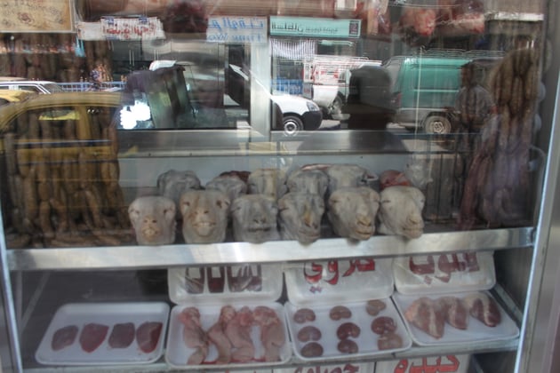 Schafsköpfe-eine arabische Delikatesse.