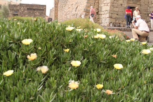 Ein seltener Anblick.