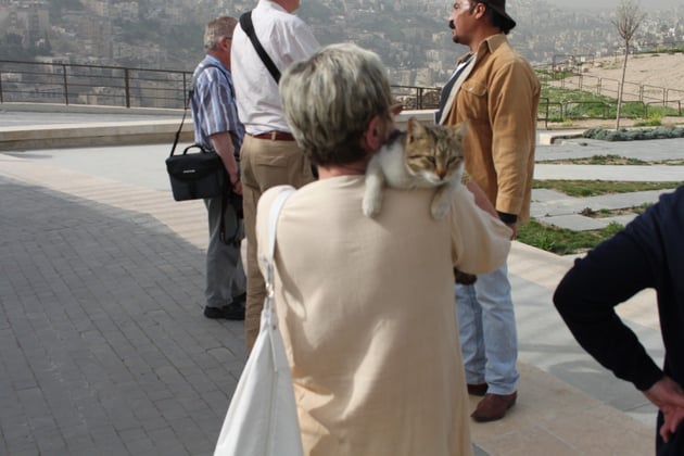 Ein liebes jordanisches Kätzchen.