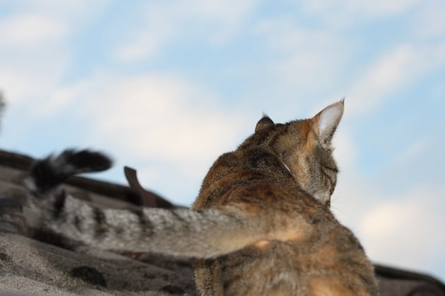 Auf dem Weg in den Himmel.