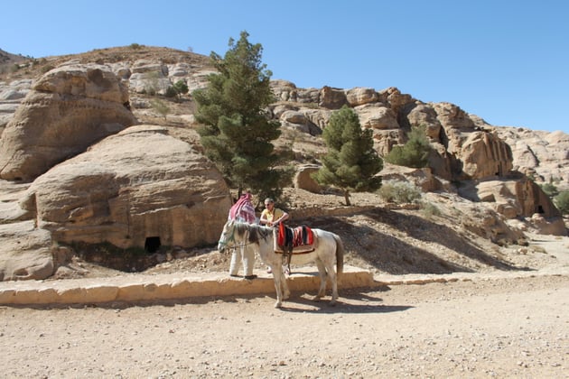 Ritt beendet,Pferd froh.