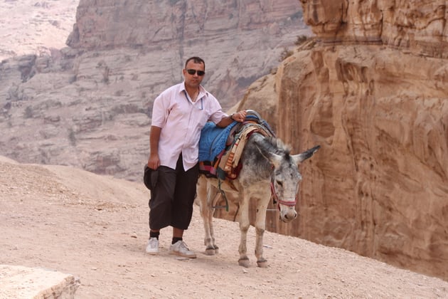 Gleich 2 Esel, ha,ha.