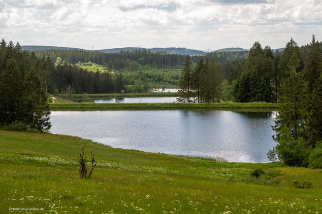Mit dem Wohnmobil im Harz
