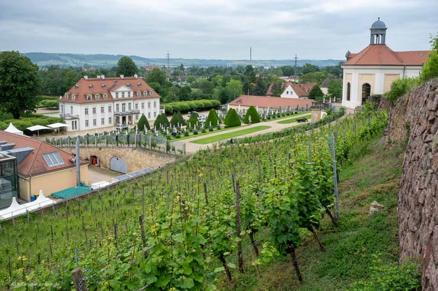  Mit dem Wohnmobil in Dresden und der Elbe