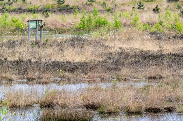 Mit dem Wohnmobil in der Diepholzer Moornierung