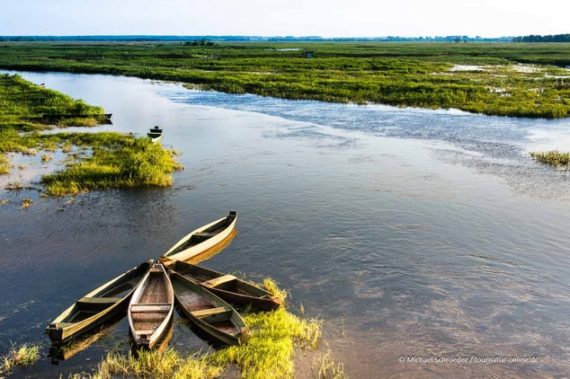 Abendstimmung im Narew Nationalpark - unser Übernachtungsplatz ist ganz links neben der Sonne!