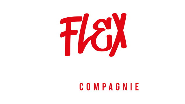 Site de compagnie-fleximpact !