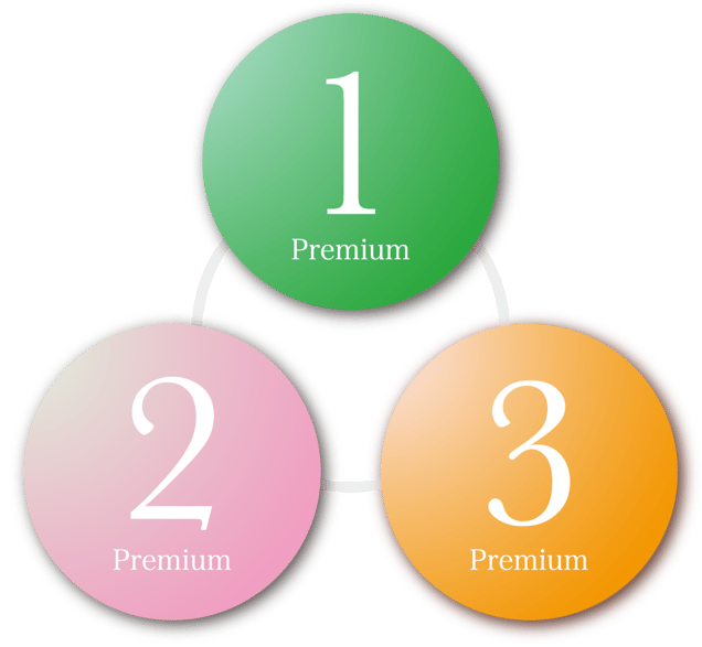 Three Premiums  (３つの約束 )のイメージ図