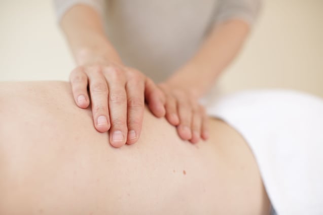 Als zertifizierte Osteopathin beherrscht Frau Burkart alle osteopathierelevanten Bereiche