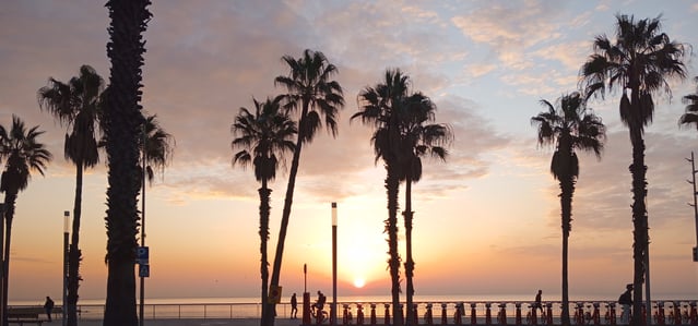 Escola Mediterrània de Barcelona