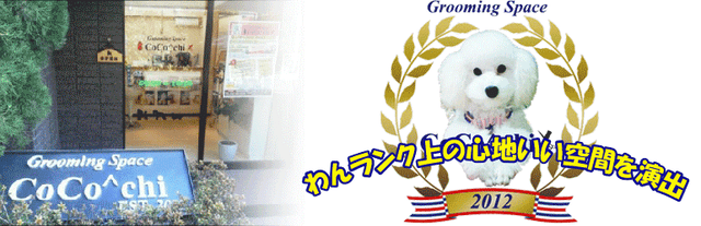 東村山のトリミング・ペットサロンココッチ