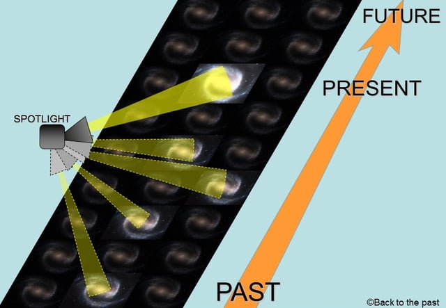 スポットライト理論