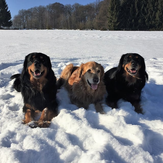 Baki, Thaler und Annabelle
