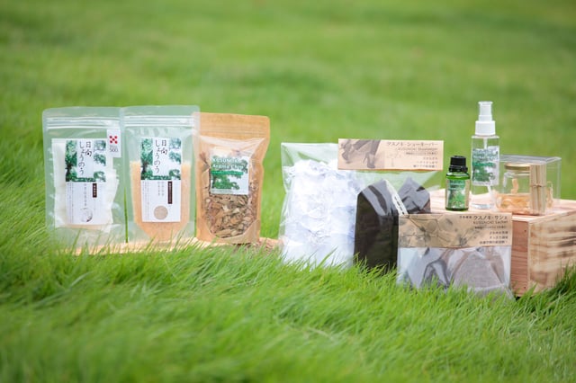 ビオラピアス ビオライヤリング Jimdoアドベントカレンダー2018