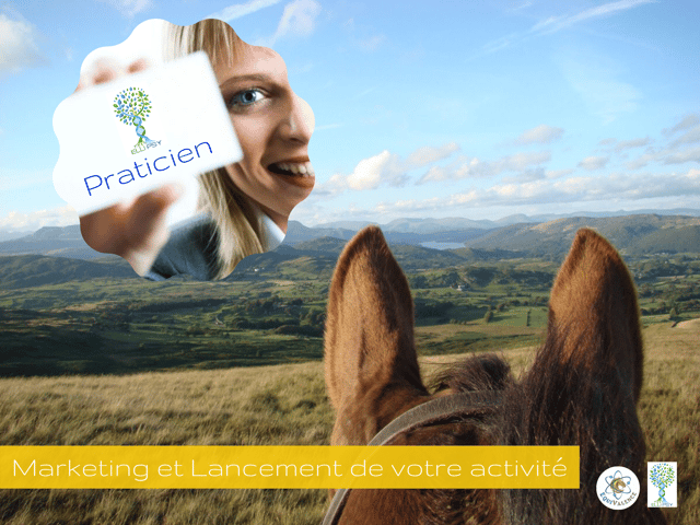 ellipsy-formation-installation-marketing