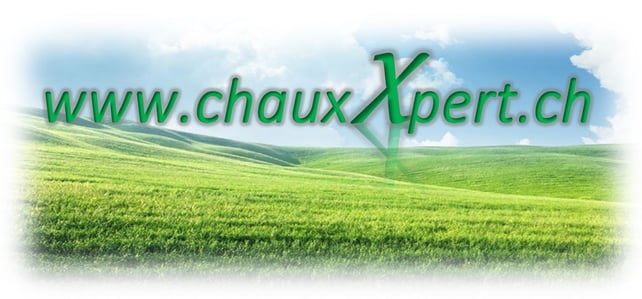 chauxxperts Webseite!
